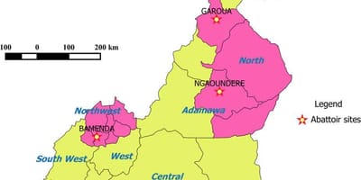 カメルーンを示す地域が地図