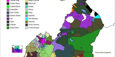地図のカメルーン言語